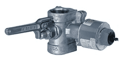 EDWARDS SIGNALING, 10776-G1, VALVE-COMBINATION EX PR1/2NPT